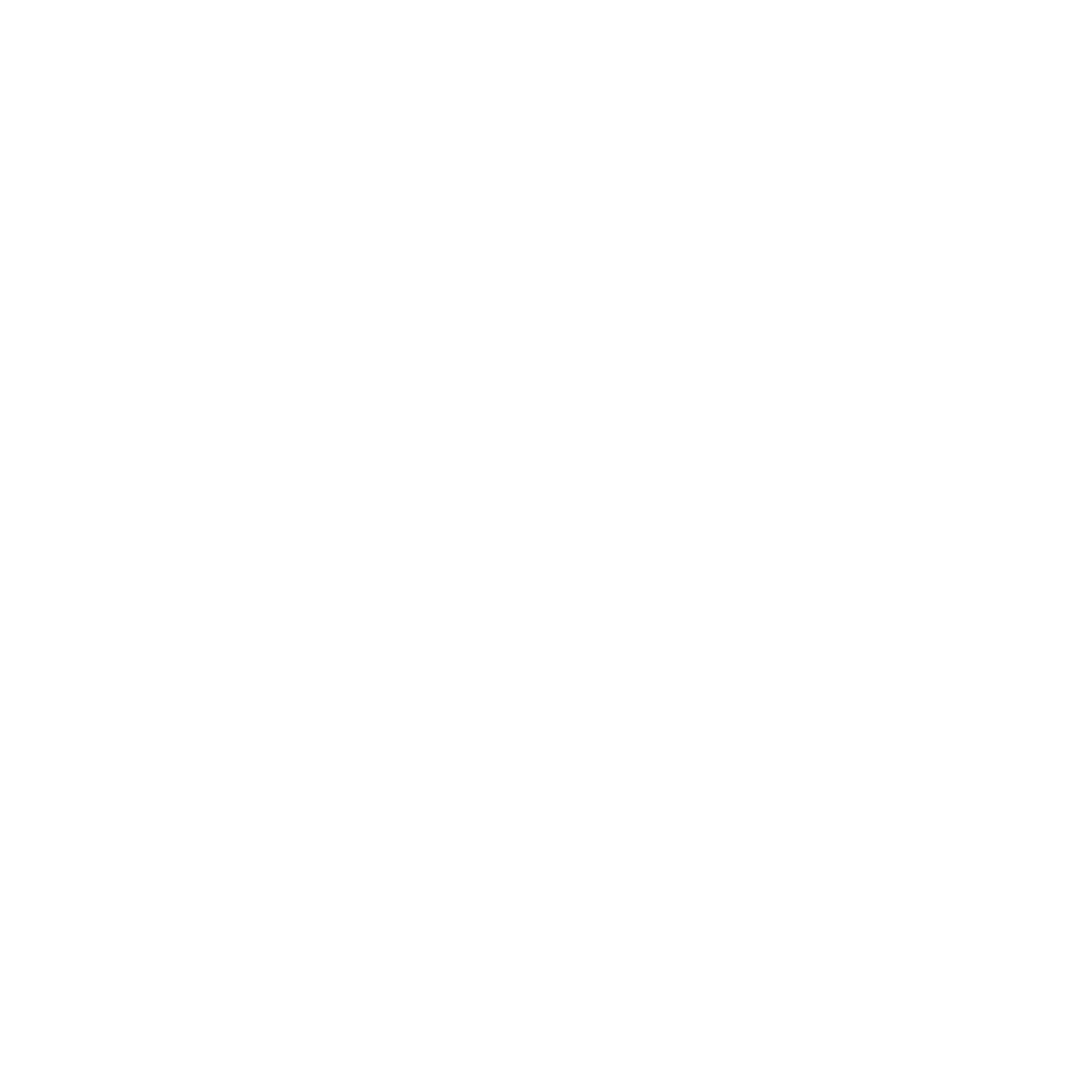 Logo Zuyd Hogeschool